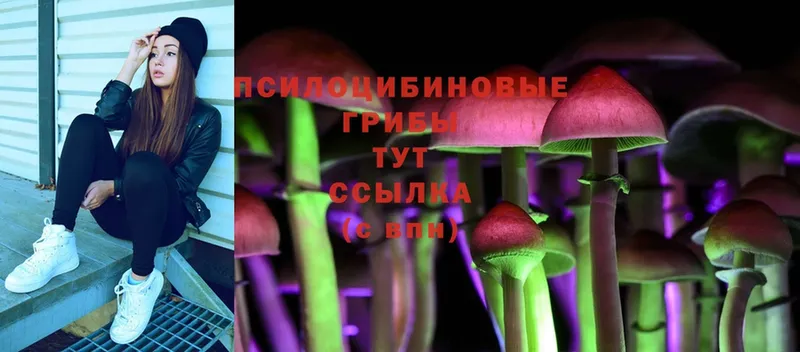 Галлюциногенные грибы Psilocybe  хочу наркоту  это клад  Аша 